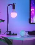 Matter Thread A19 Smart Bulbs (3 Pack) | Bundle